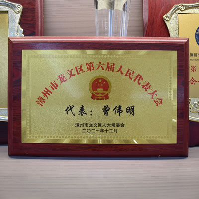 龙文区第六届人大代表