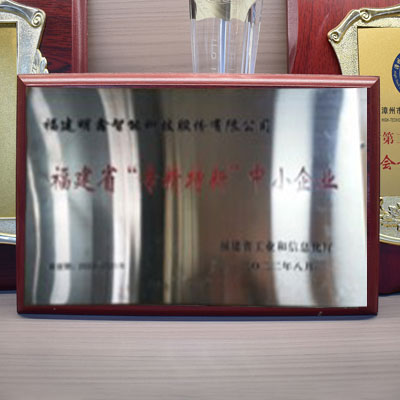 福建省专精特新中小企业